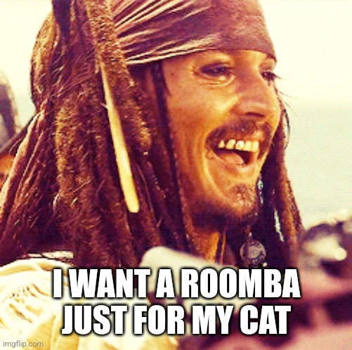 JACK LAUGH | I WANT A ROOMBA JUST FOR MY CAT | image tagged in jack laugh | made w/ Imgflip meme maker