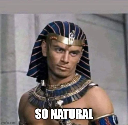 pharaoh | SO NATURAL | image tagged in pharaoh | made w/ Imgflip meme maker