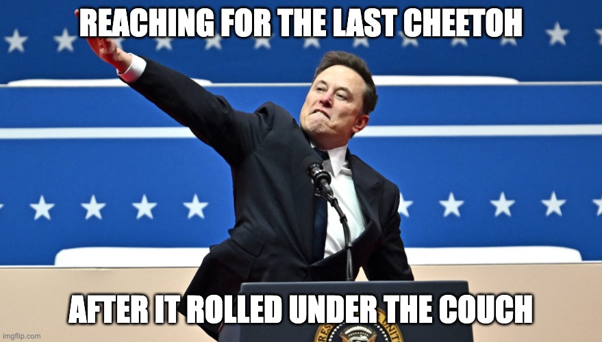 Reaching For The Last Cheetoh Under the Couch | REACHING FOR THE LAST CHEETOH; AFTER IT ROLLED UNDER THE COUCH | image tagged in elon loves you | made w/ Imgflip meme maker