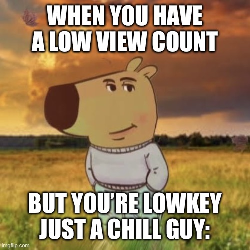 I’m a chill guy. | WHEN YOU HAVE A LOW VIEW COUNT; BUT YOU’RE LOWKEY JUST A CHILL GUY: | image tagged in chill guy | made w/ Imgflip meme maker