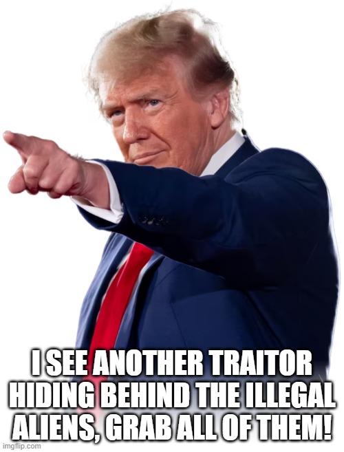 I SEE ANOTHER TRAITOR HIDING BEHIND THE ILLEGAL ALIENS, GRAB ALL OF THEM! | made w/ Imgflip meme maker