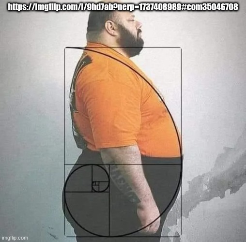 The Golden Ratio | https://imgflip.com/i/9hd7ab?nerp=1737408989#com35046708 | image tagged in the golden ratio | made w/ Imgflip meme maker