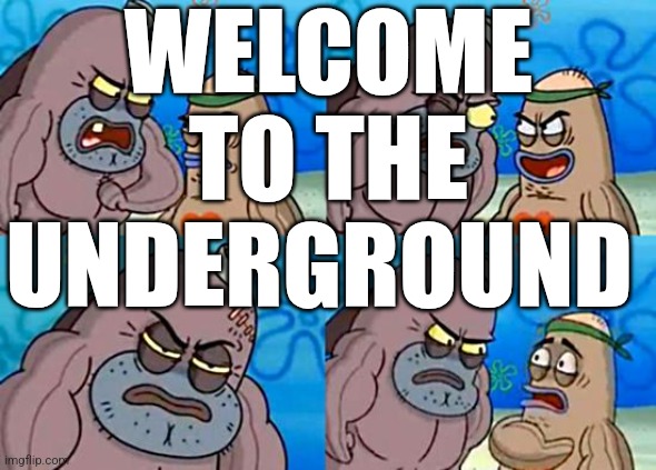 Welcome to the Salty Spitoon | WELCOME TO THE UNDERGROUND | image tagged in welcome to the salty spitoon | made w/ Imgflip meme maker