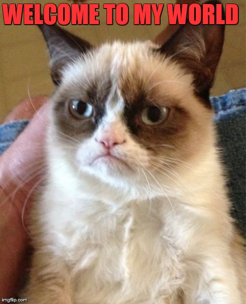  Mad Kitty | WELCOME TO MY WORLD | image tagged in memes,grumpy cat | made w/ Imgflip meme maker