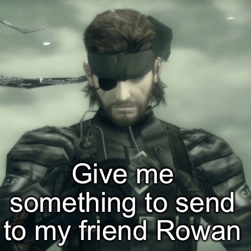 Metal Gear Solid Snake | Give me something to send to my friend Rowan | image tagged in metal gear solid snake | made w/ Imgflip meme maker