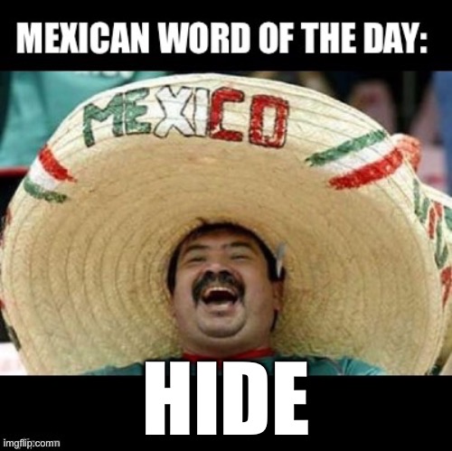 Adios | HIDE | image tagged in mexican word of the day large | made w/ Imgflip meme maker