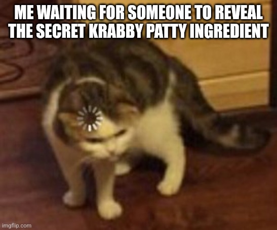 Loading cat | ME WAITING FOR SOMEONE TO REVEAL THE SECRET KRABBY PATTY INGREDIENT | image tagged in loading cat | made w/ Imgflip meme maker