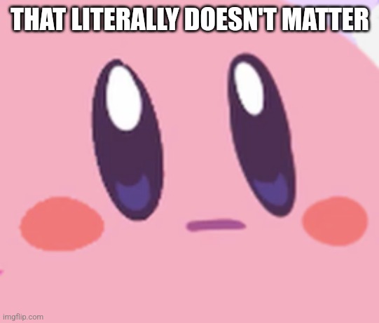 Blank Kirby Face | THAT LITERALLY DOESN'T MATTER | image tagged in blank kirby face | made w/ Imgflip meme maker