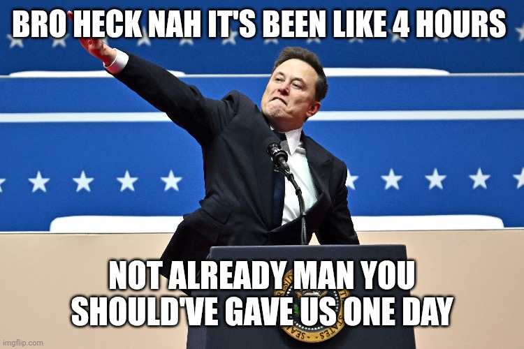 Really are Nazis ig | BRO HECK NAH IT'S BEEN LIKE 4 HOURS; NOT ALREADY MAN YOU SHOULD'VE GAVE US ONE DAY | image tagged in donald trump,elon musk | made w/ Imgflip meme maker