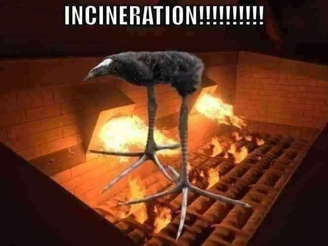 incineration Blank Meme Template