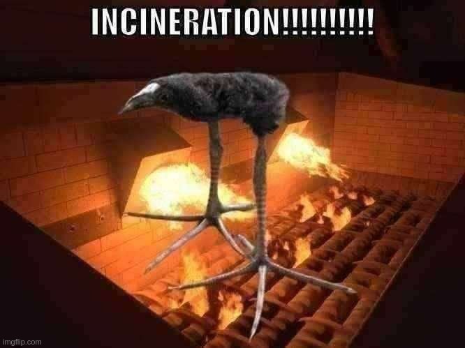 incineration | image tagged in incineration | made w/ Imgflip meme maker