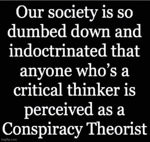 Conspiracy Theorists or Critical Thinkers? | image tagged in dumbed down and indoctrinated,think about it,conspiracy theories,the thinker,conservative logic,relatable | made w/ Imgflip meme maker