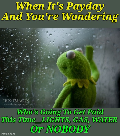 The Battle Of Bills | When It's Payday And You're Wondering; Who's Going To Get Paid This Time__LIGHTS, GAS, WATER; Or NOBODY | image tagged in kermit window,adulting,memes,bills,paying bills | made w/ Imgflip meme maker