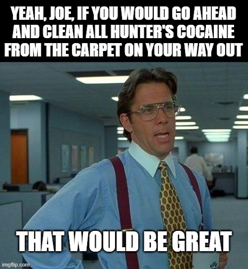 Buhbye Joe Blow | YEAH, JOE, IF YOU WOULD GO AHEAD
AND CLEAN ALL HUNTER'S COCAINE
FROM THE CARPET ON YOUR WAY OUT; THAT WOULD BE GREAT | image tagged in memes,that would be great | made w/ Imgflip meme maker