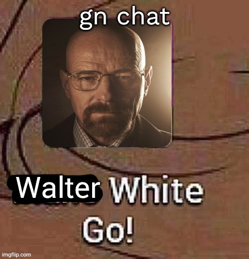 Walter White Go! | gn chat | image tagged in walter white go | made w/ Imgflip meme maker