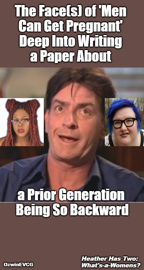 Heather Has Two: What's-a-Womens? | The Face(s) of 'Men 

Can Get Pregnant' 

Deep Into Writing 

a Paper About; a Prior Generation 

Being So Backward; Heather Has Two: 

What's-a-Womens? OzwinEVCG | image tagged in charlie sheen derp,wokenstein,liberal logic,lgbtq,clown world,what is a woman | made w/ Imgflip meme maker