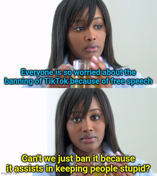 Let's ban it for the right reasons... | Everyone is so worried about the banning of TikTok because of free speech; Can't we just ban it because it assists in keeping people stupid? | image tagged in black woman drinking tea 2 panels,tiktok sucks | made w/ Imgflip meme maker