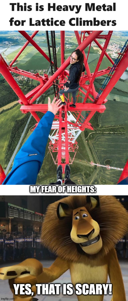 This is Heavy Metal | MY FEAR OF HEIGHTS:; YES, THAT IS SCARY! | image tagged in climbing,lattice climbing,meme,heavy metal,dark humor,madagascar | made w/ Imgflip meme maker