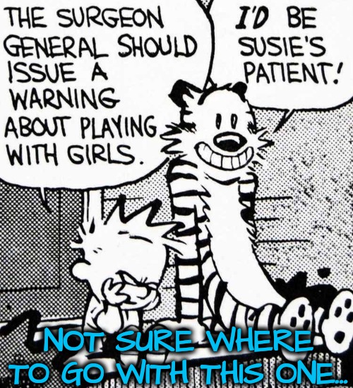 Hobbes Goes to the Doctor | NOT SURE WHERE TO GO WITH THIS ONE... | image tagged in calvin and hobbes | made w/ Imgflip meme maker