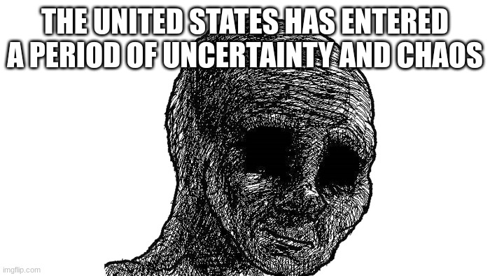 sad wojak | THE UNITED STATES HAS ENTERED A PERIOD OF UNCERTAINTY AND CHAOS | image tagged in sad wojak | made w/ Imgflip meme maker