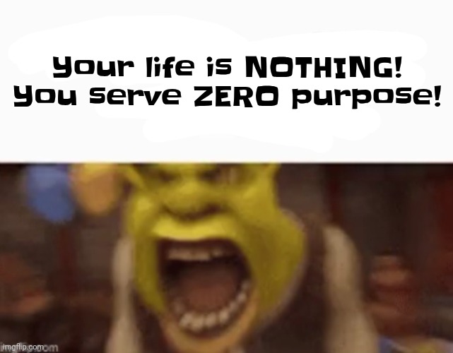 YOU ARE A KING GG !! | Your life is NOTHING!
You serve ZERO purpose! | image tagged in you are a king gg | made w/ Imgflip meme maker