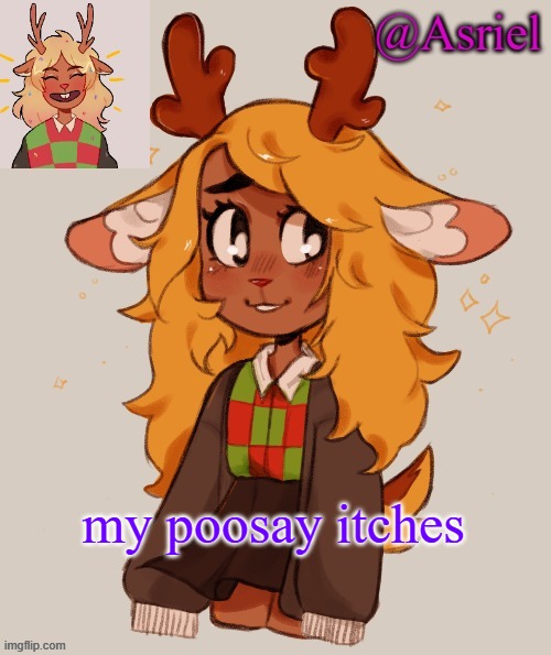 (her cat has fleas) | my poosay itches | image tagged in asriel's noelle temp | made w/ Imgflip meme maker