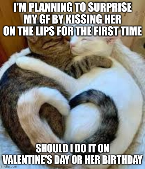 I'M PLANNING TO SURPRISE MY GF BY KISSING HER ON THE LIPS FOR THE FIRST TIME; SHOULD I DO IT ON VALENTINE'S DAY OR HER BIRTHDAY | image tagged in kiss | made w/ Imgflip meme maker