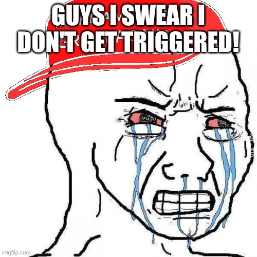 Crying wojak maga | GUYS I SWEAR I DON'T GET TRIGGERED! | image tagged in crying wojak maga | made w/ Imgflip meme maker