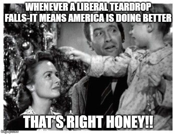 It's a wonderful life | WHENEVER A LIBERAL TEARDROP FALLS-IT MEANS AMERICA IS DOING BETTER; THAT'S RIGHT HONEY!! | image tagged in it's a wonderful life | made w/ Imgflip meme maker