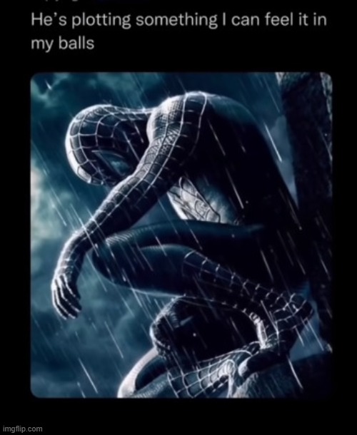 Relatable? | image tagged in balls tingle go brrrr,spiderman,dirty joke | made w/ Imgflip meme maker