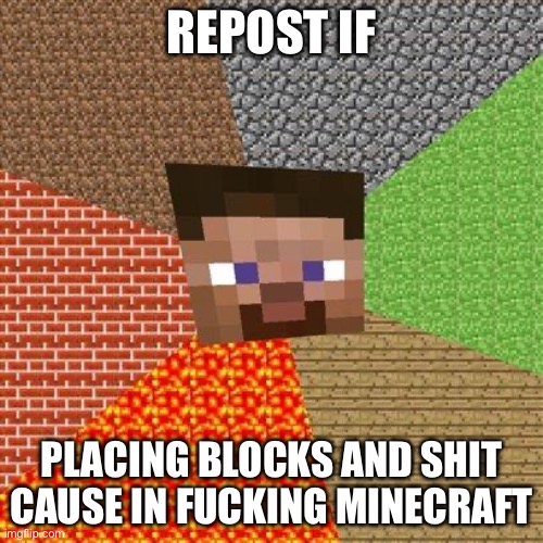 Minecraft Steve | REPOST IF; PLACING BLOCKS AND SHIT CAUSE IN FUCKING MINECRAFT | image tagged in minecraft steve | made w/ Imgflip meme maker