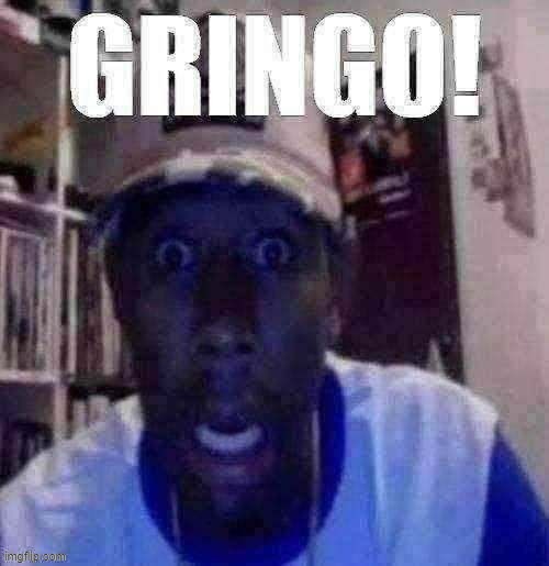 GRINGO! | image tagged in gringo | made w/ Imgflip meme maker