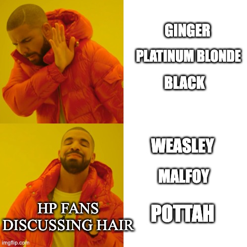 Drake Hotline Bling | GINGER; PLATINUM BLONDE; BLACK; WEASLEY; MALFOY; HP FANS DISCUSSING HAIR; POTTAH | image tagged in memes,drake hotline bling | made w/ Imgflip meme maker