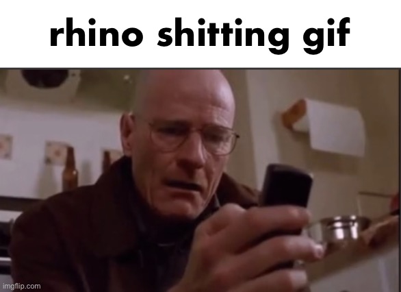 Walter white sad | rhino shitting gif | image tagged in walter white sad | made w/ Imgflip meme maker