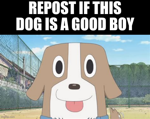 REPOST IF THIS DOG IS A GOOD BOY | image tagged in memes,blank transparent square | made w/ Imgflip meme maker