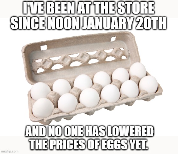 Egg-xactly! | I'VE BEEN AT THE STORE SINCE NOON JANUARY 20TH; AND NO ONE HAS LOWERED THE PRICES OF EGGS YET. | image tagged in groceries,egg prices | made w/ Imgflip meme maker