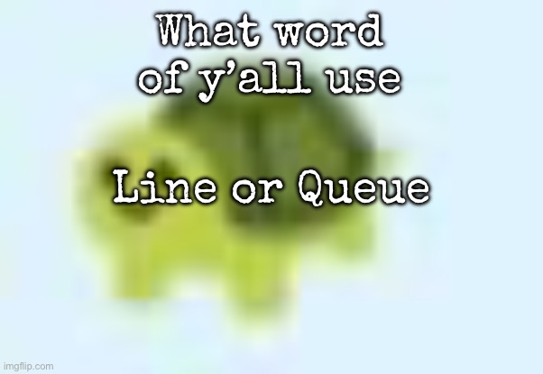 low quality turtle | What word of y’all use; Line or Queue | image tagged in low quality turtle,msmg | made w/ Imgflip meme maker
