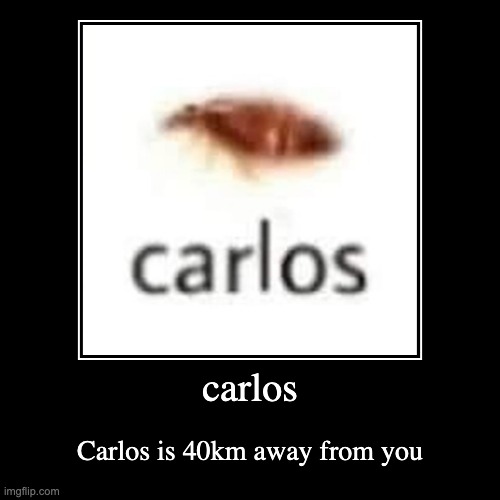 carlos. | carlos | Carlos is 40km away from you | image tagged in funny,demotivationals,memes | made w/ Imgflip demotivational maker