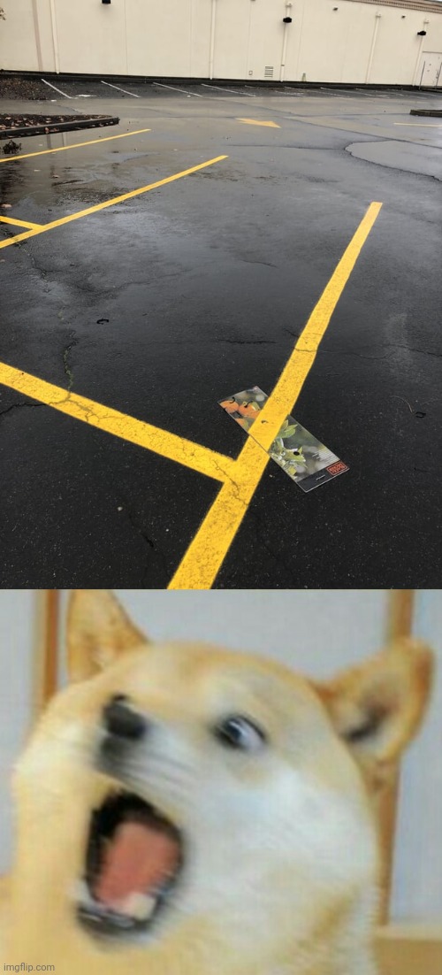 Parking lot | image tagged in doge freaks out,paint,parking lot,outside,you had one job,memes | made w/ Imgflip meme maker