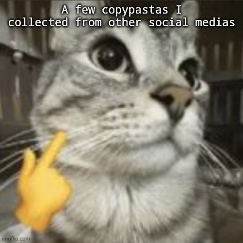 Mewing cat | A few copypastas I collected from other social medias | image tagged in mewing cat | made w/ Imgflip meme maker