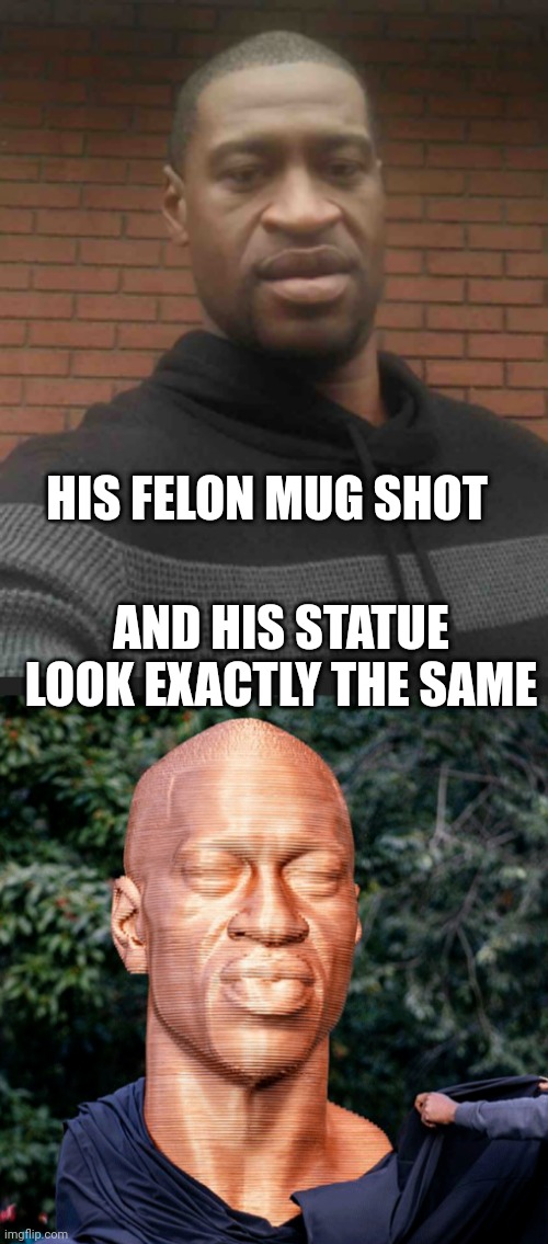 HIS FELON MUG SHOT AND HIS STATUE LOOK EXACTLY THE SAME | image tagged in george floyd | made w/ Imgflip meme maker