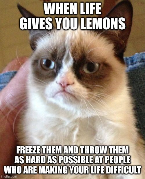 Grumpy Cat Meme | WHEN LIFE GIVES YOU LEMONS; FREEZE THEM AND THROW THEM AS HARD AS POSSIBLE AT PEOPLE WHO ARE MAKING YOUR LIFE DIFFICULT | image tagged in memes,grumpy cat | made w/ Imgflip meme maker