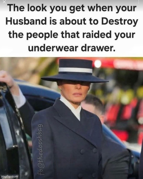 Dark MAGA Carmen Sandiego | image tagged in melania trump | made w/ Imgflip meme maker