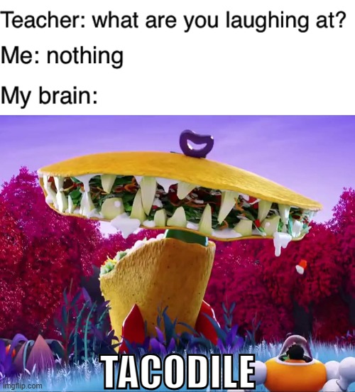 tacodile... SUPREME!!! | TACODILE | image tagged in teacher what are you laughing at,tacodile,memes | made w/ Imgflip meme maker