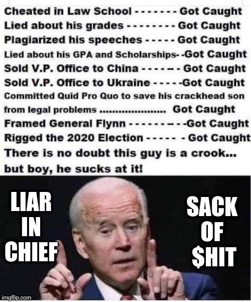 LIAR
IN
CHIEF SACK 
OF 
$HIT | made w/ Imgflip meme maker