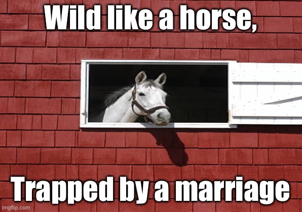 Ignore this, for my school assignment Book reference: The House On Mango Street by Sandra Cisneros | Wild like a horse, Trapped by a marriage | made w/ Imgflip meme maker