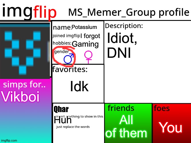 MSMG Profile | Potassium; Idiot, DNI; I forgot; Gaming; Idk; Vikboi; Qhar; You; All of them; Huh | image tagged in msmg profile | made w/ Imgflip meme maker