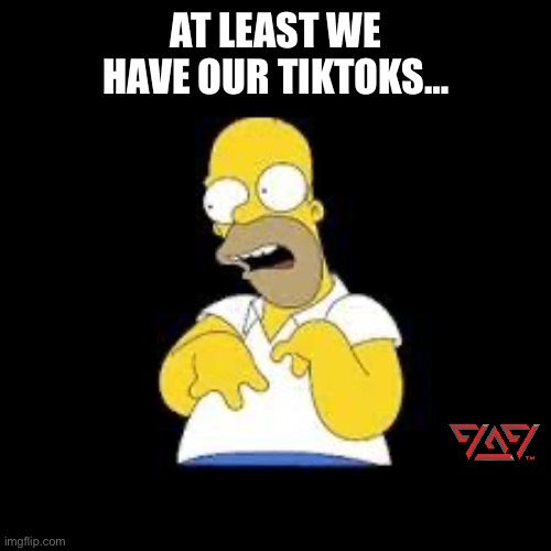 At Least We Have Our TikToks Meme | AT LEAST WE HAVE OUR TIKTOKS… | image tagged in look marge | made w/ Imgflip meme maker