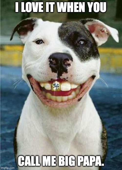 PIt Bull Smile | I LOVE IT WHEN YOU; CALL ME BIG PAPA. | image tagged in pit bull smile | made w/ Imgflip meme maker