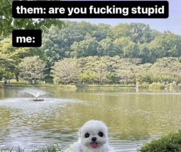 made w/ Imgflip meme maker